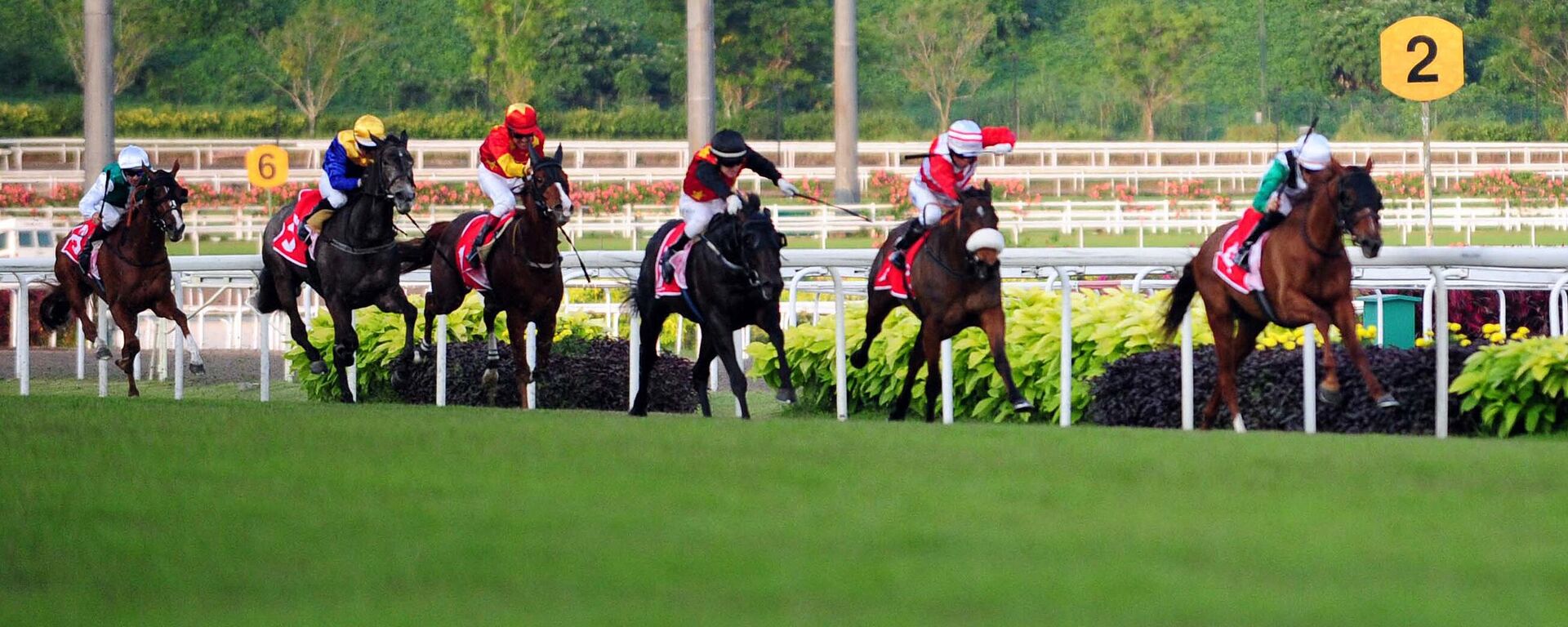Singapur'da 180 yılı aşkın geçmişe sahip at yarışlarının gelecek yıl sona ereceği; ülkenin tek at yarışı pisti Turf Club'ın olduğu bölgenin başka alanlarda kullanılacağı bildirildi. - Sputnik Türkiye, 1920, 06.06.2023
