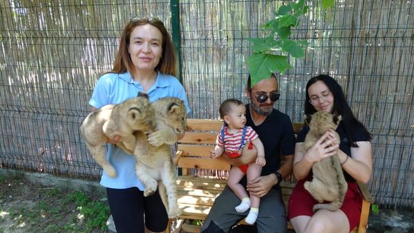 Afrika aslanı Sultan 6 yavru birden dünyaya getirdi - Sputnik Türkiye