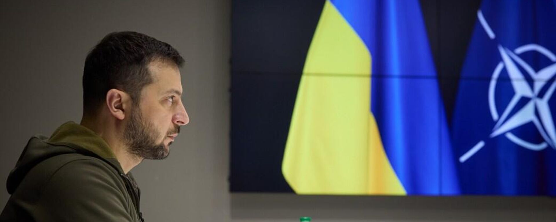 Ukrayna Devlet Başkanı Vladimir Zelenskiy video konferans yoluyla NATO zirvesine hitap ederken - Sputnik Türkiye, 1920, 05.09.2023