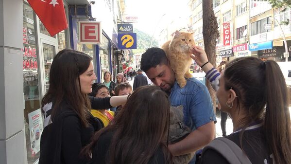 4 kedisini her gün omzunda gezintiye çıkarıyor - Sputnik Türkiye