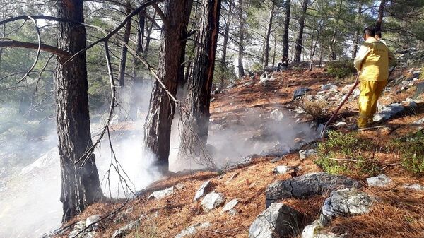 3 hafta içinde yıldırım kaynaklı 28 orman yangını çıktı - Sputnik Türkiye