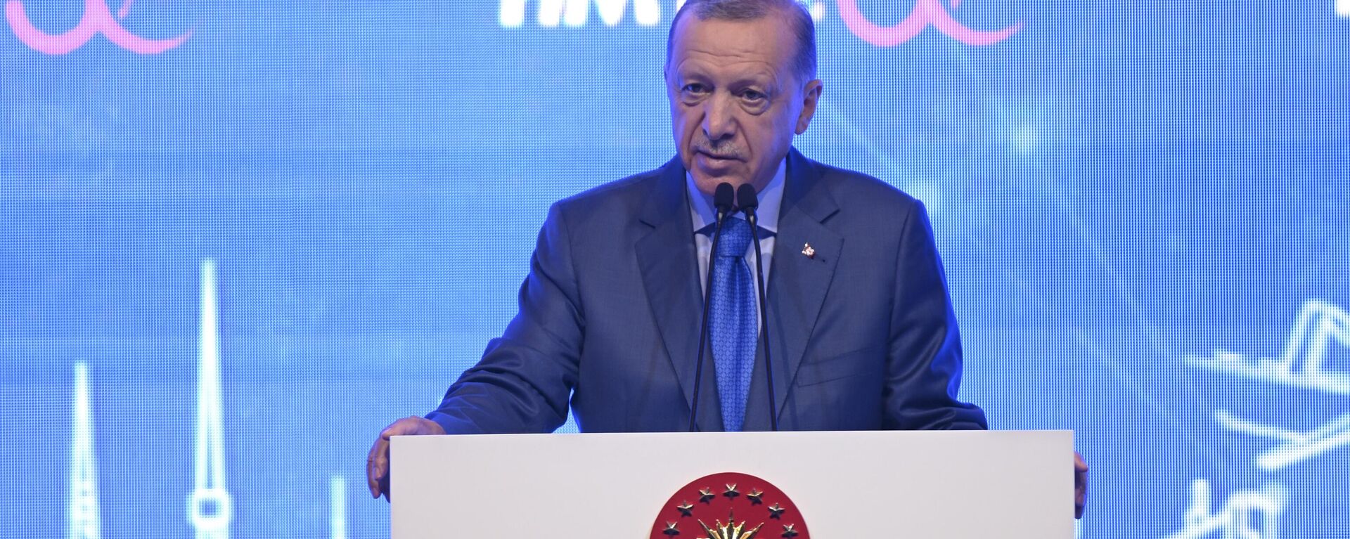 Cumhurbaşkanı Recep Tayyip Erdoğan - Sputnik Türkiye, 1920, 17.06.2023