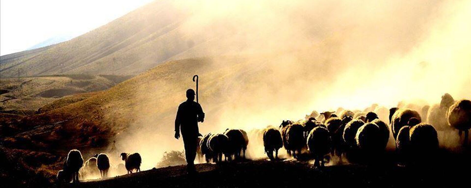 Çoban - Sputnik Türkiye, 1920, 13.06.2025