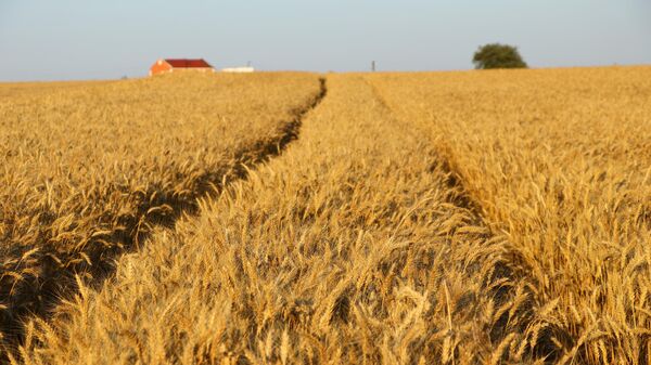 Hasat - Sputnik Türkiye