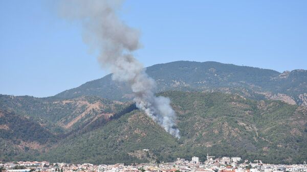 Marmaris'te orman yangını başladı - Sputnik Türkiye