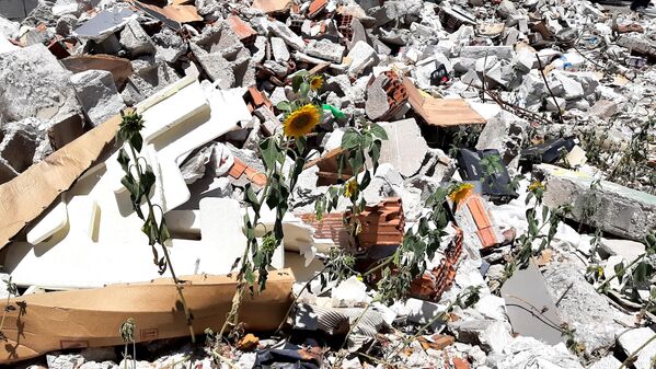 Adıyaman'da yıkılan binaların enkazında bitkiler yeşerdi - Sputnik Türkiye