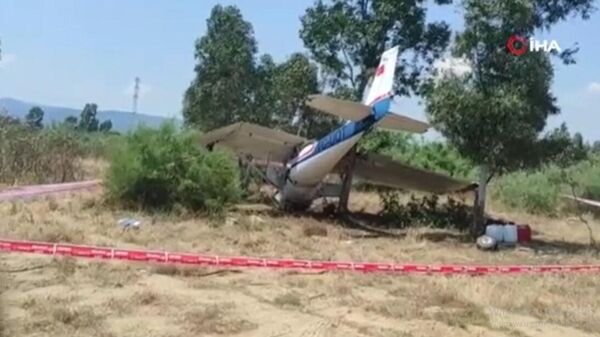 İzmir Selçuk’ta özel bir uçak araziye düştü - Sputnik Türkiye
