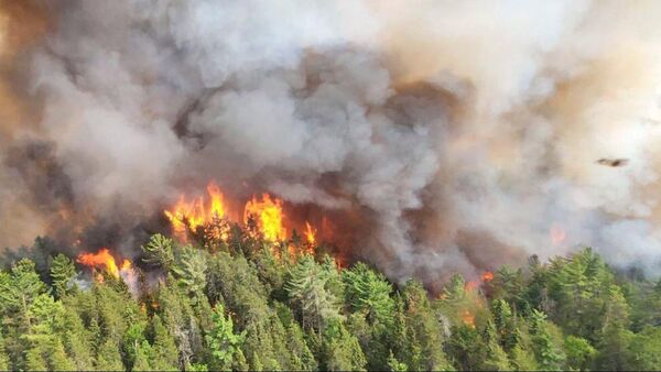 Yangınlardan 339’u kontrolden çıkarken 188’i ise kontrol altına alındı. Yangınların çoğu Quebec, Alberta ve British Columbia’da kayda geçti. - Sputnik Türkiye