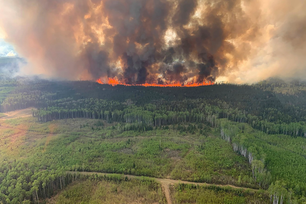Kanada, orman yangınlarıyla boğuşuyor. Kanada Kurumlararası Orman Yangını Merkezi (CIFFC) verilerine göre ülkenin batısındaki British Columbia bölgesinden doğudaki Nova Scotia&#x27;ya kadar ülke genelindeki 648 noktada alevlerle mücadele sürüyor. - Sputnik Türkiye