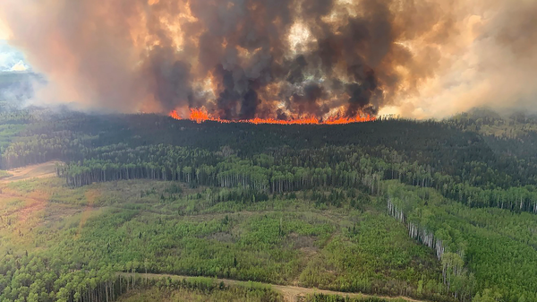 Kanada'da bu yıl çıkan orman yangınlarında Türkiye’nin Ege Bölgesi büyüklüğüne yakın 8.8 milyon hektarlık alan küle döndü. Ülke genelinde 648 noktada alevlerle mücadele sürüyor. - Sputnik Türkiye
