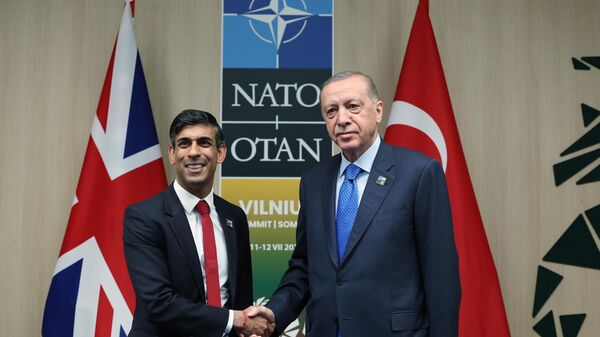 Cumhurbaşkanı Recep Tayyip Erdoğan, NATO Devlet ve Hükümet Başkanları Zirvesi'ne katılmak üzere geldiği Vilnius'ta, İngiltere Başbakanı Rishi Sunak ile görüştü. - Sputnik Türkiye