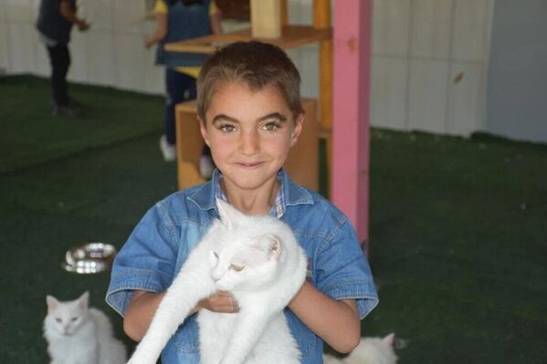 Van kedileri için koruma projesi: Yavru sayıları her yıl artacak - Sputnik Türkiye