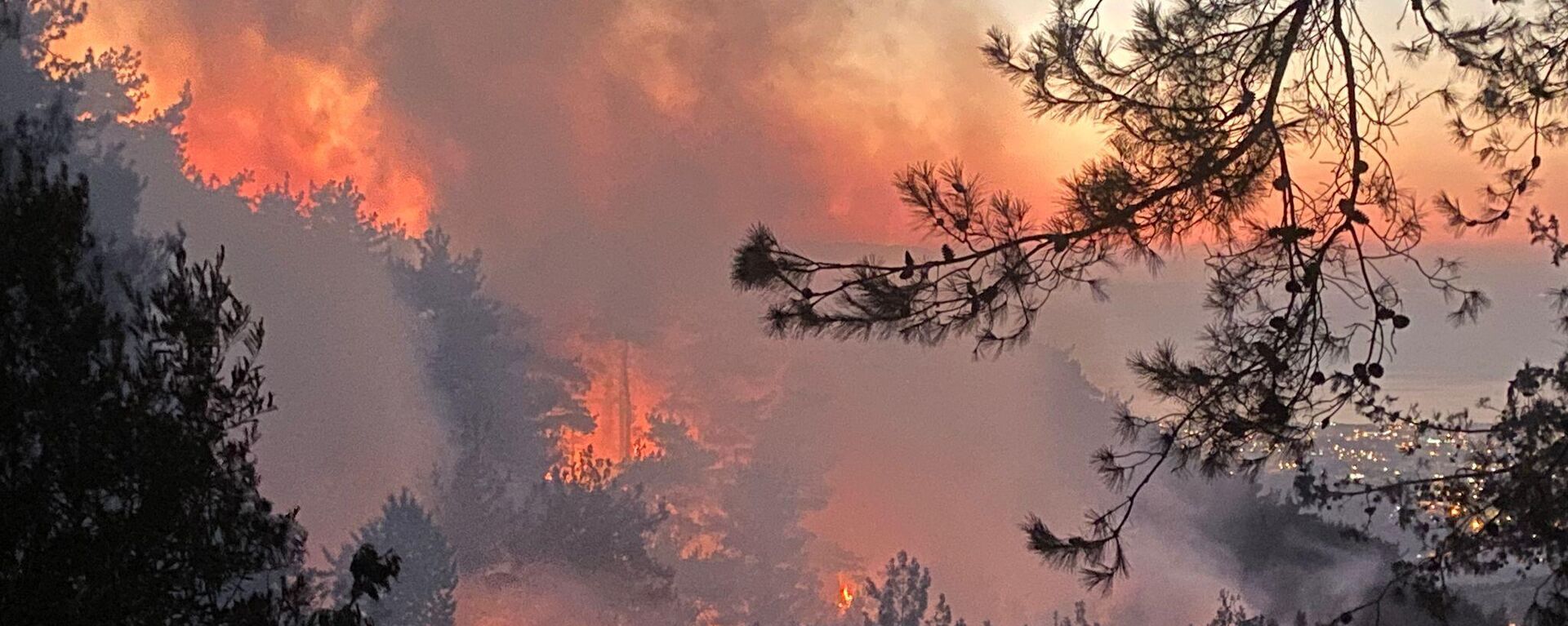 Hatay'ın Belen ilçesinde çıkan orman yangını, ekiplerin havadan ve karadan müdahalesiyle söndürülmeye çalışılırken, Tarım ve Orman Bakanı İbrahim Yumaklı ve İçişleri Bakanı Ali Yerlikaya bölgeye gidiyor. - Sputnik Türkiye, 1920, 16.07.2023