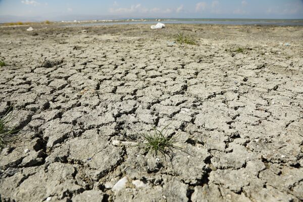 Van Gölü'nde kuraklık ve kirlilik tehlikesi: Yaklaşık 100 milyon metreküp su çekildi - Sputnik Türkiye