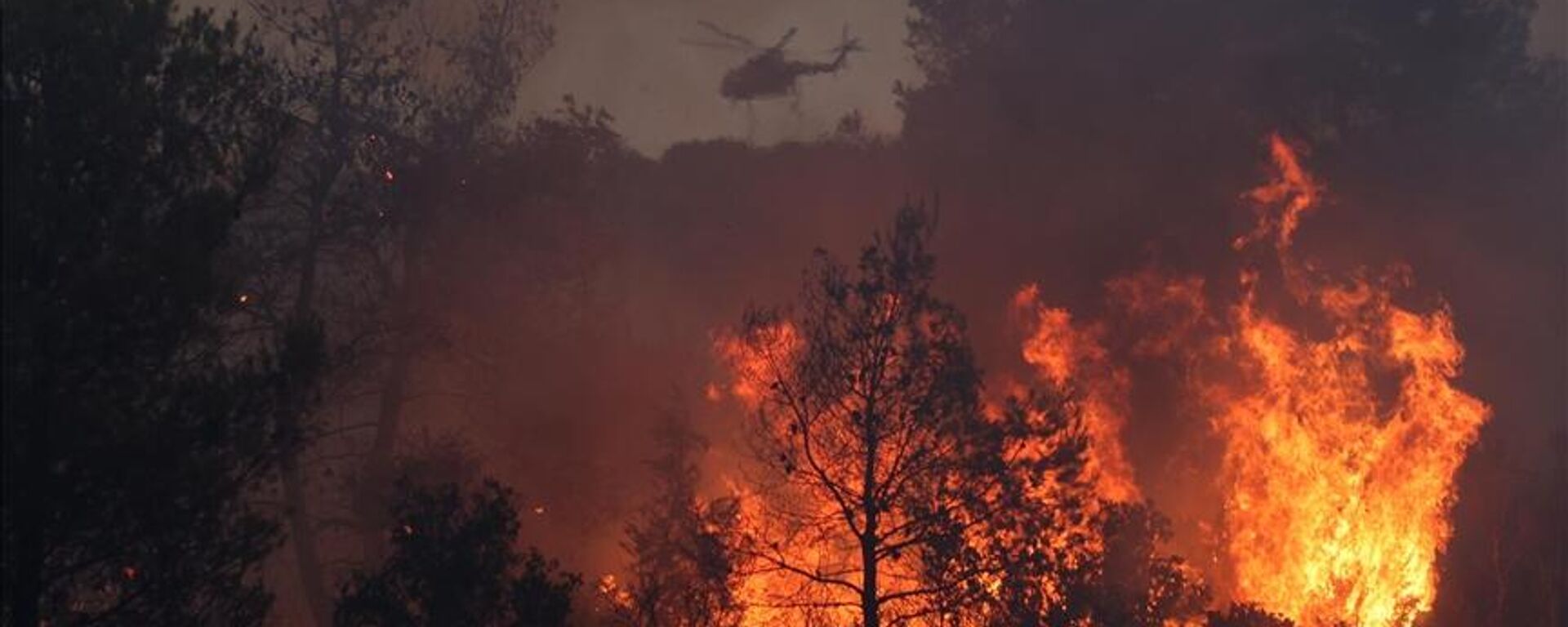 Rodos Adası'nda bir hafta önce başlayan orman yangını kontrolsüz şekilde yayılmaya devam ederken, Yunanistan'ın Korfu Adası'nda da orman yangını çıktığı bildirildi. - Sputnik Türkiye, 1920, 01.08.2023