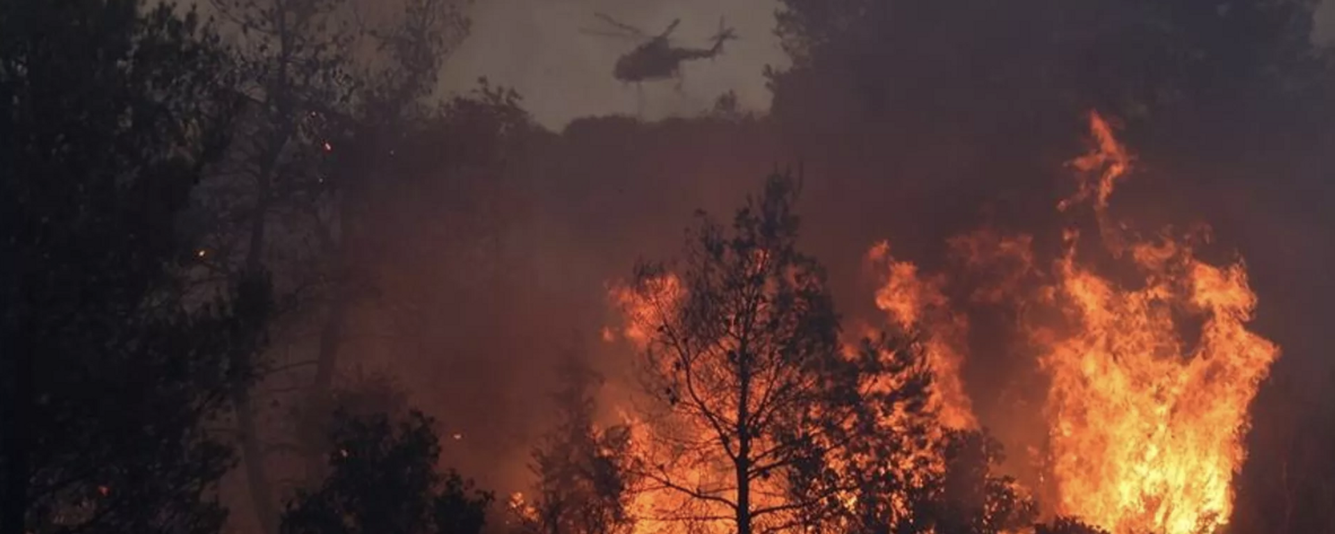 Rodos'tan sonra Yunanistan'ın Korfu Adası'nda da orman yangını: 2 bin 466 kişi tahliye edildi - Sputnik Türkiye, 1920, 24.07.2023