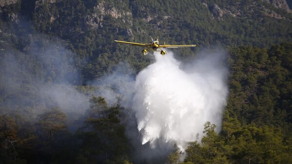 Bakan Ersoy: Hedefimiz Antalya'daki orman yangınını gün içinde kontrol altına almak - Sputnik Türkiye