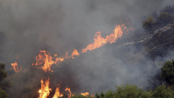 Cezayir’de orman yangınları sürüyor: Hayatını kaybedenlerin sayısı 34 yükseldi - Sputnik Türkiye