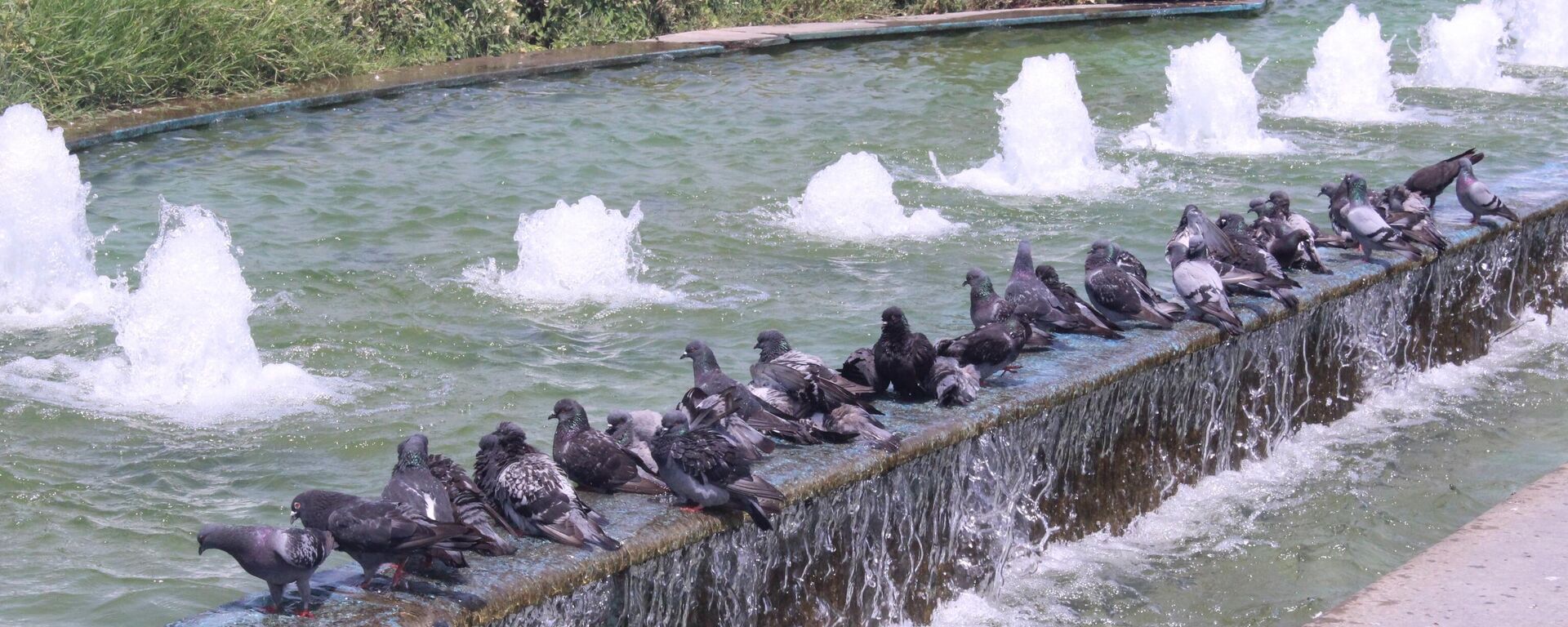 İzmir - sıcaklık - sıcak hava - Sputnik Türkiye, 1920, 26.07.2023