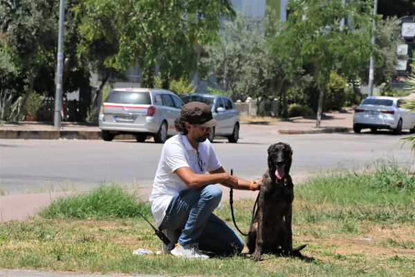 Türkiye'de nadir bulunan köpek barınaktan kaçmıştı: 88 saat sonra bulundu - Sputnik Türkiye