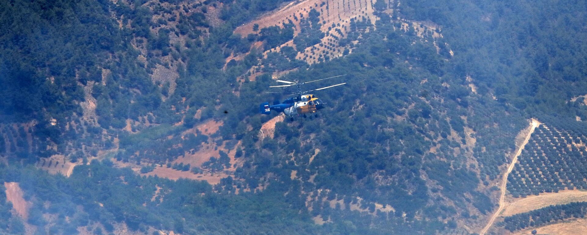 Hatay'da orman yangını - Sputnik Türkiye, 1920, 06.08.2023