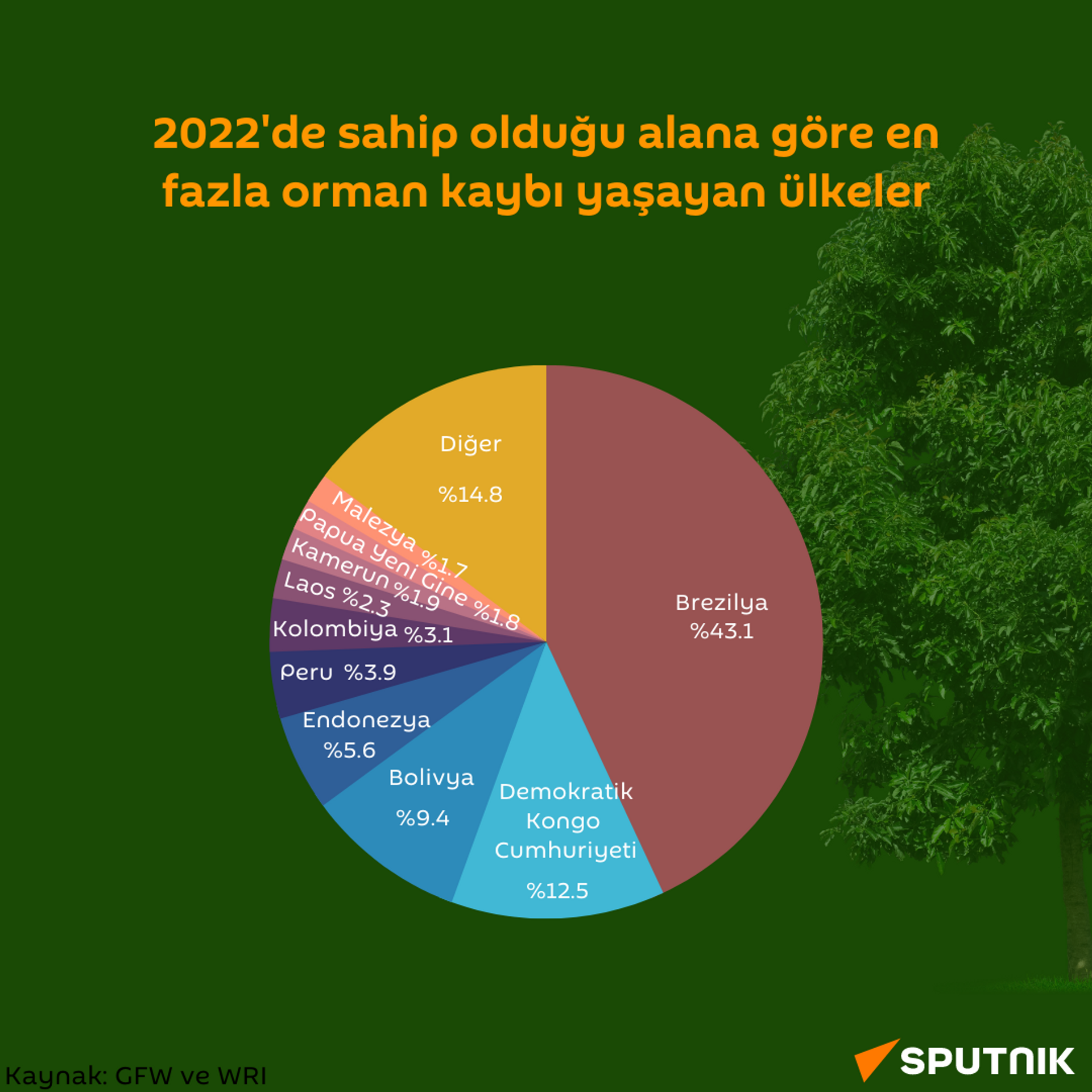 2022'de en fazla orman kaybı yaşayan ülkeler  - Sputnik Türkiye, 1920, 15.08.2023