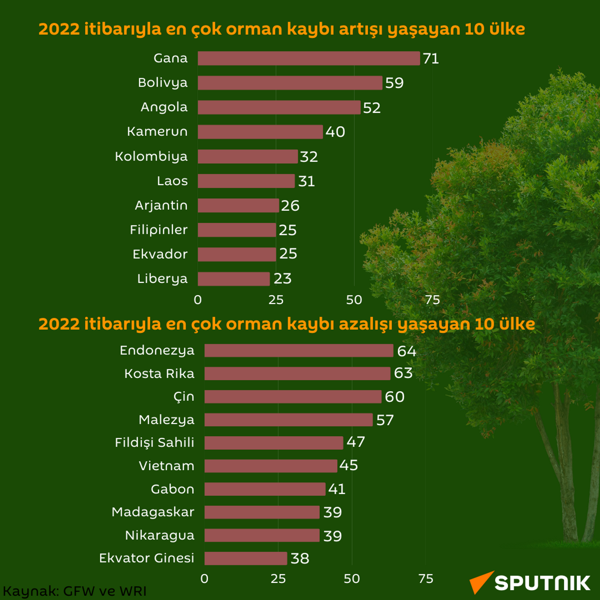 En çok orman kaybı artışı ve azalışı yaşayan 10 ülke - Sputnik Türkiye, 1920, 15.08.2023