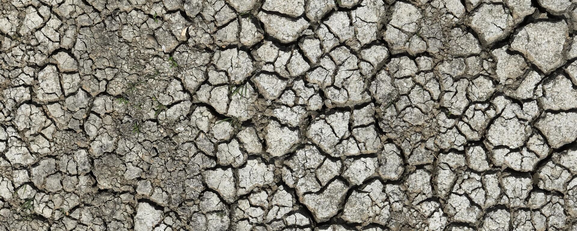 İstanbul - baraj - kuraklık  - Sputnik Türkiye, 1920, 20.12.2024