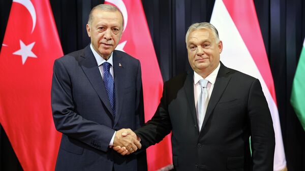 Cumhurbaşkanı Erdoğan, Orban ile görüştü
 - Sputnik Türkiye