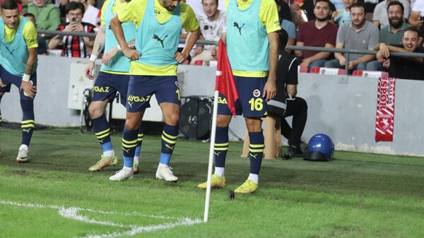 Samsunspor-Fenerbahçe maçında sahaya fare girdi - Sputnik Türkiye