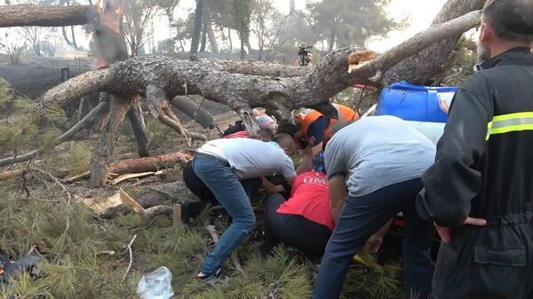 Orman yangına müdahale ederken üzerine ağaç devrildi - Sputnik Türkiye