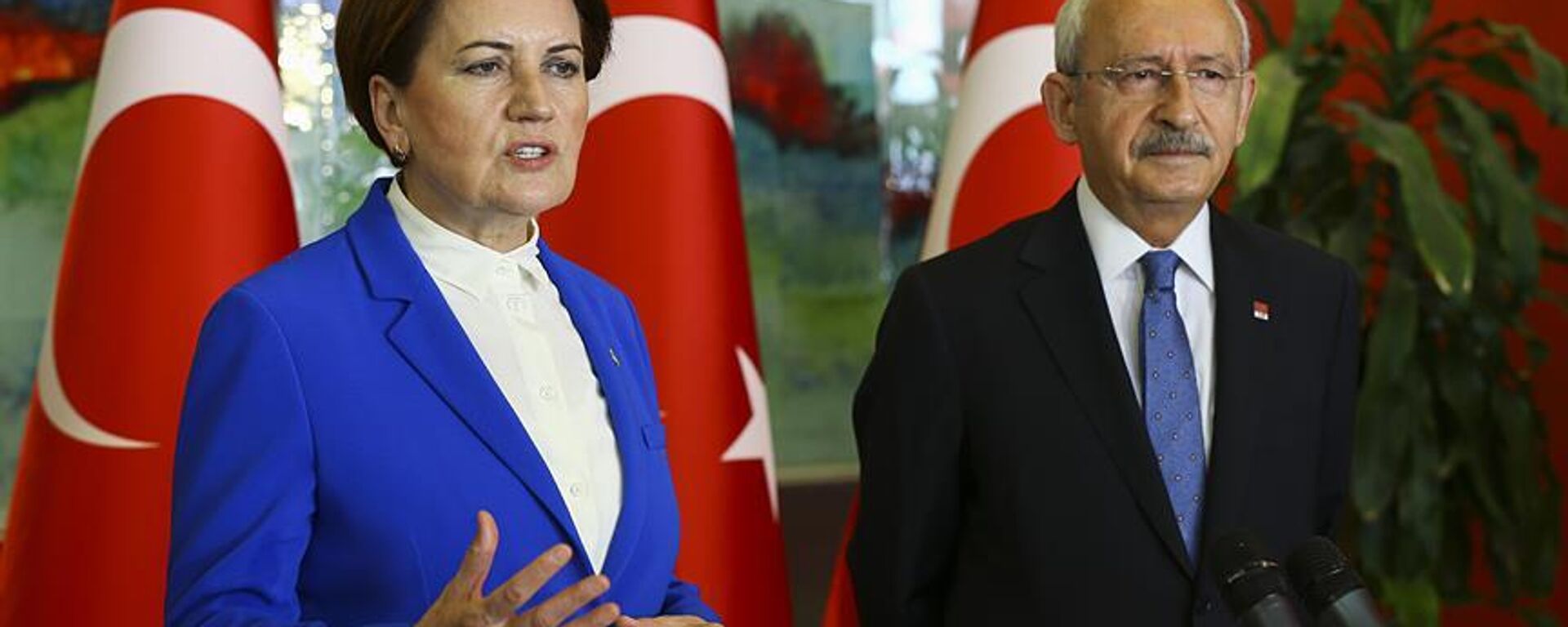 Kemal Kılıçdaroğlu ve Meral Akşener - Sputnik Türkiye, 1920, 29.09.2023