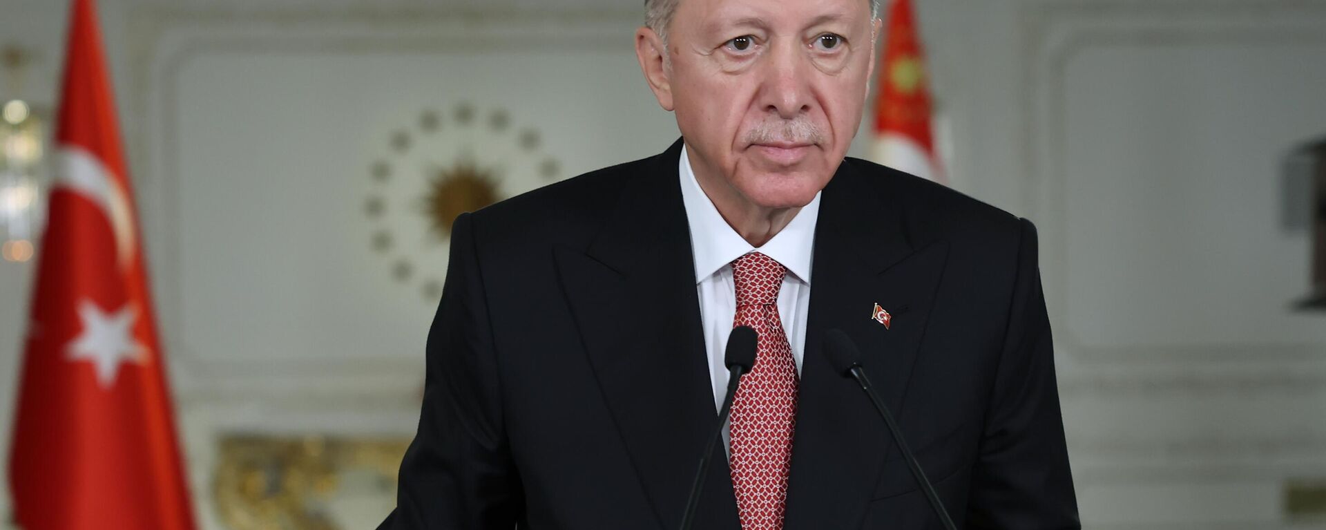 Cumhurbaşkanı Recep Tayyip Erdoğan - Sputnik Türkiye, 1920, 02.09.2023