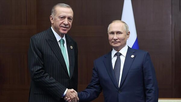 Putin ve Erdoğan - Sputnik Türkiye