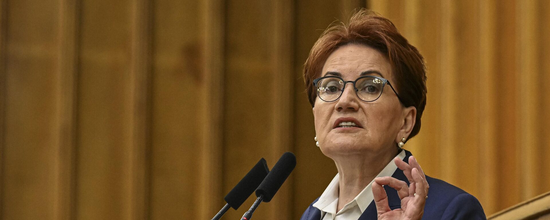 Akşener - Sputnik Türkiye, 1920, 01.11.2023