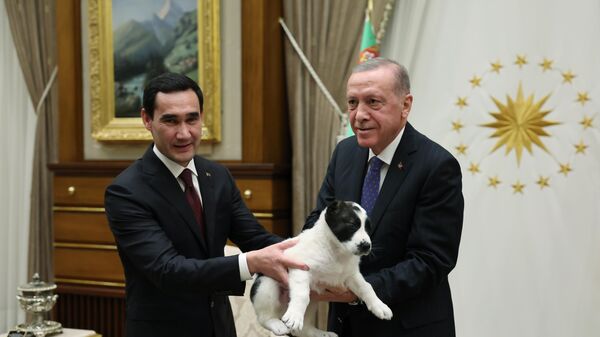 Cumhurbaşkanı Erdoğan - Türkmenistan Devlet Başkanı Berdimuhammedov - Sputnik Türkiye