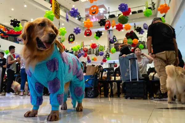 Cadılar Bayramı bir pagan festivali olarak ilk kez İngiltere'de İrlandalılar, İskoçlar ve Galliler tarafından kutlanmaya başlandı. - Sputnik Türkiye