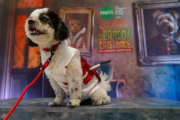 Fakat Filipinler'de düzenlenen Cadılar Bayramı partisi, diğerlerinden ayrı olarak tüm dünyada yüzleri güldürdü.  - Sputnik Türkiye