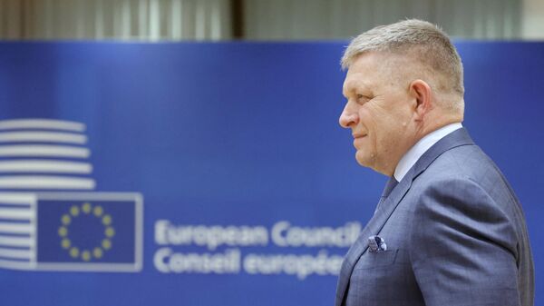 Slovakya Başbakan Robert Fico  - Sputnik Türkiye