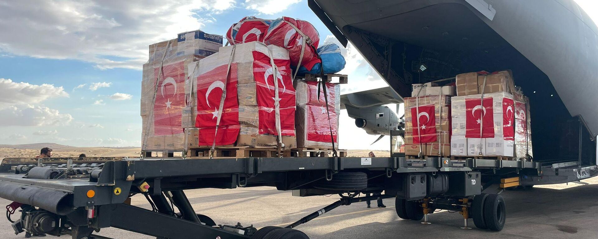 Türkiye'den Gazze'ye ilaç ve tıbbi malzeme taşıyan, içerisinde 9 uzman sağlık çalışanının da bulunduğu askeri uçak, Mısır'ın El-Ariş Havalimanı'na indi - Sputnik Türkiye, 1920, 15.11.2023