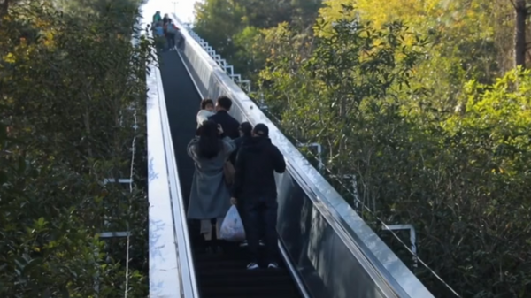 Çin'in Chun'an eyaletinde bulunan 350 metrelik yürüyen merdiven turistleri zirveye ulaştırıyor - Sputnik Türkiye