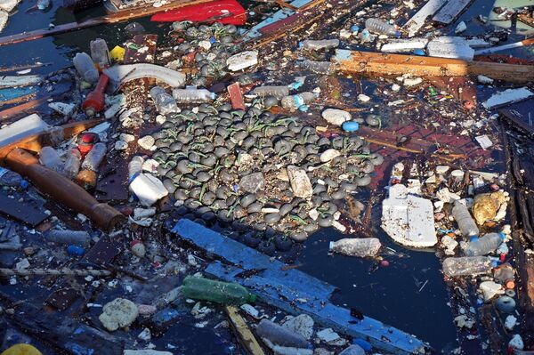 Antalya’da denizin üzerindeki tekne ve ağ parçaları fırtınanın boyutunu gözler önüne serdi  - Sputnik Türkiye
