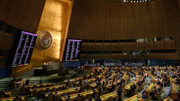 Birleşmiş Milletler toplantı - Sputnik Türkiye