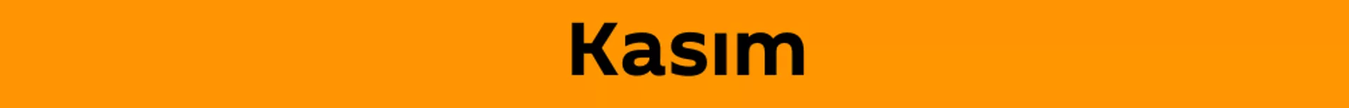 Kasım - Sputnik Türkiye, 1920, 16.12.2024