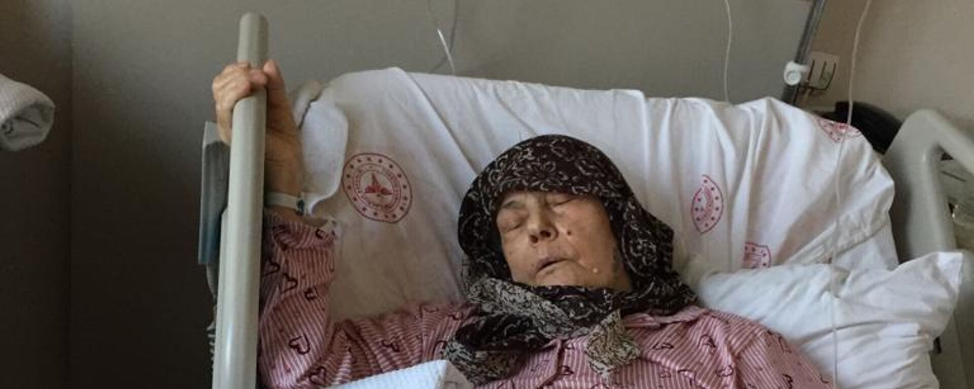 yaşlı kadın köpek saldırısı - Sputnik Türkiye, 1920, 16.12.2023