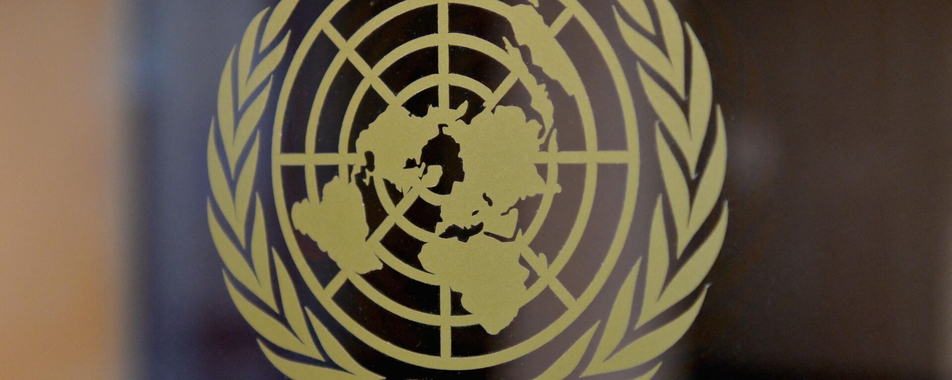 Birleşmiş Milletler - Sputnik Türkiye, 1920, 26.12.2023