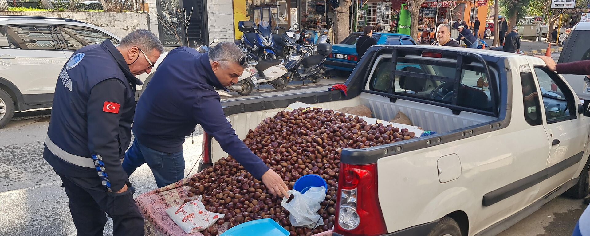 Çin kestanesi - Sputnik Türkiye, 1920, 27.12.2023