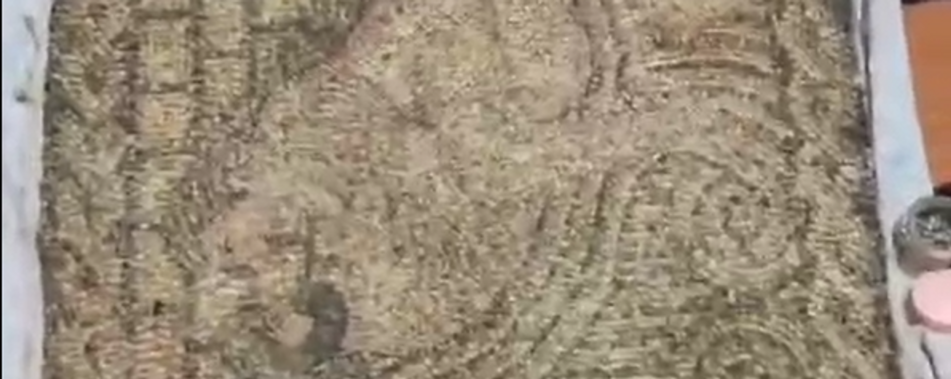  Yalova’da Suriye’den kaçak yollarla Türkiye sokulduğu değerlendirilen Roma dönemine ait “taş mozaik tablo” ele geçirilirken 1 kişi gözaltına alındı. - Sputnik Türkiye, 1920, 02.01.2024