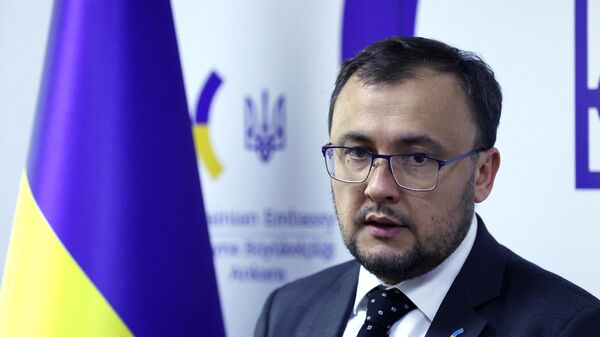 Ukrayna'nın Ankara Büyükelçisi Vasiliy Bodnar - Sputnik Türkiye