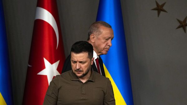 Türkiye Cumhurbaşkanı Recep Tayyip Erdoğan Ukrayna Zelenskiy Temmuz 23 - Sputnik Türkiye